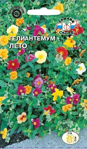 Цветок Гелиантемум Лето (смесь) /солнцецвет
