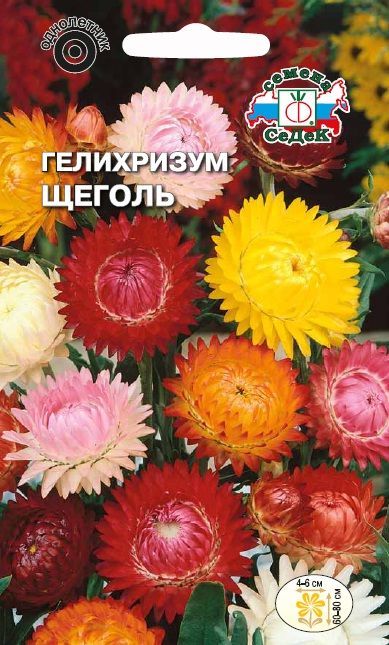 Цветок Гелихризум Щеголь (смесь)