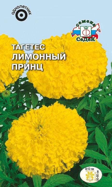 Цветок Тагетес Лимонный Принц