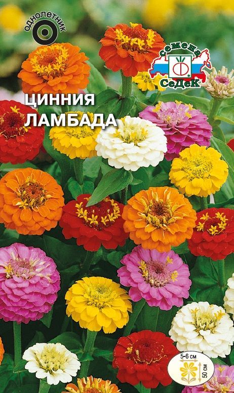 Цветок Цинния Ламбада полукарликовая (смесь)