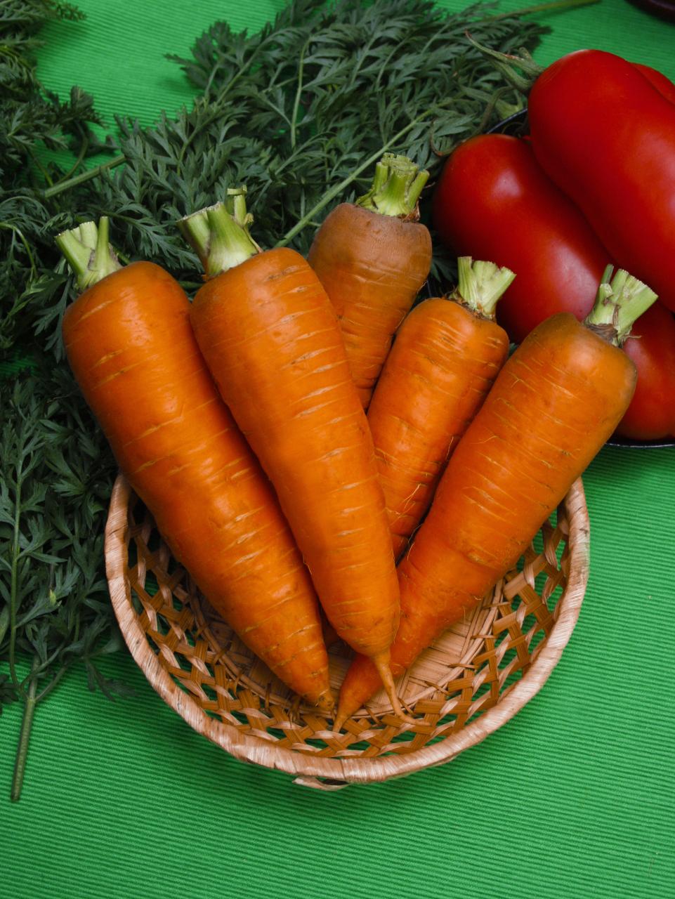 Морковь Шантино, Фракция 0,8-1 мм (Satimex 500 г)