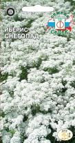 Цветок Иберис Снегопад вечнозеленый (белый)