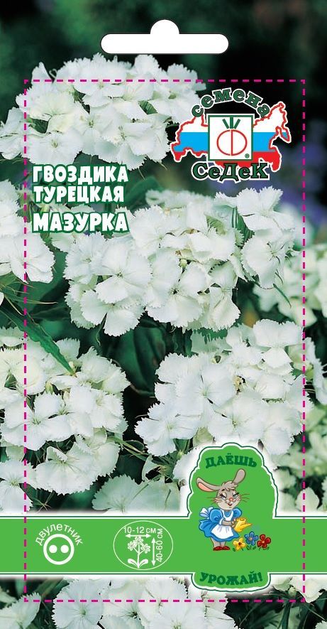 Цветок Гвоздика турецкая Сюрприз, махровая смесь  (ДУ)