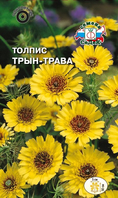 Цветок Толпис Трын-Трава
