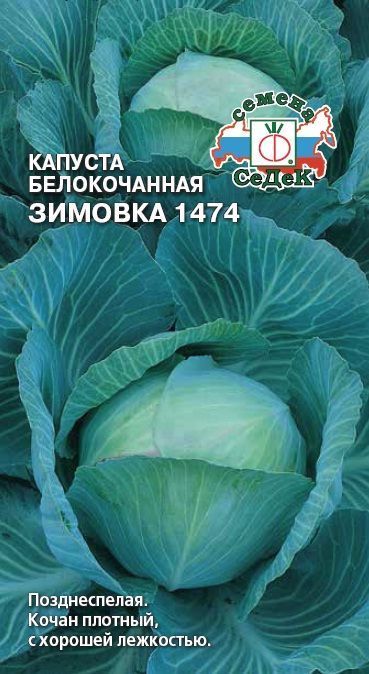 Капуста Зимовка 1474 (б/к)