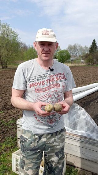 Чтобы получить ранний урожай картофеля.