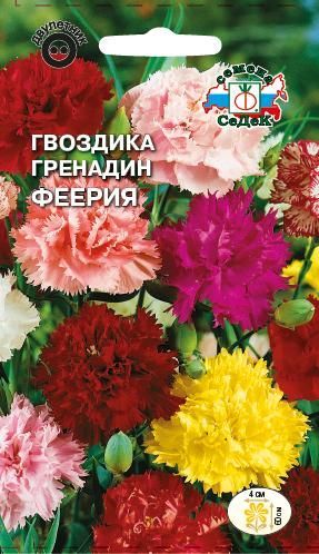 Цветок Гвоздика Феерия гренадин