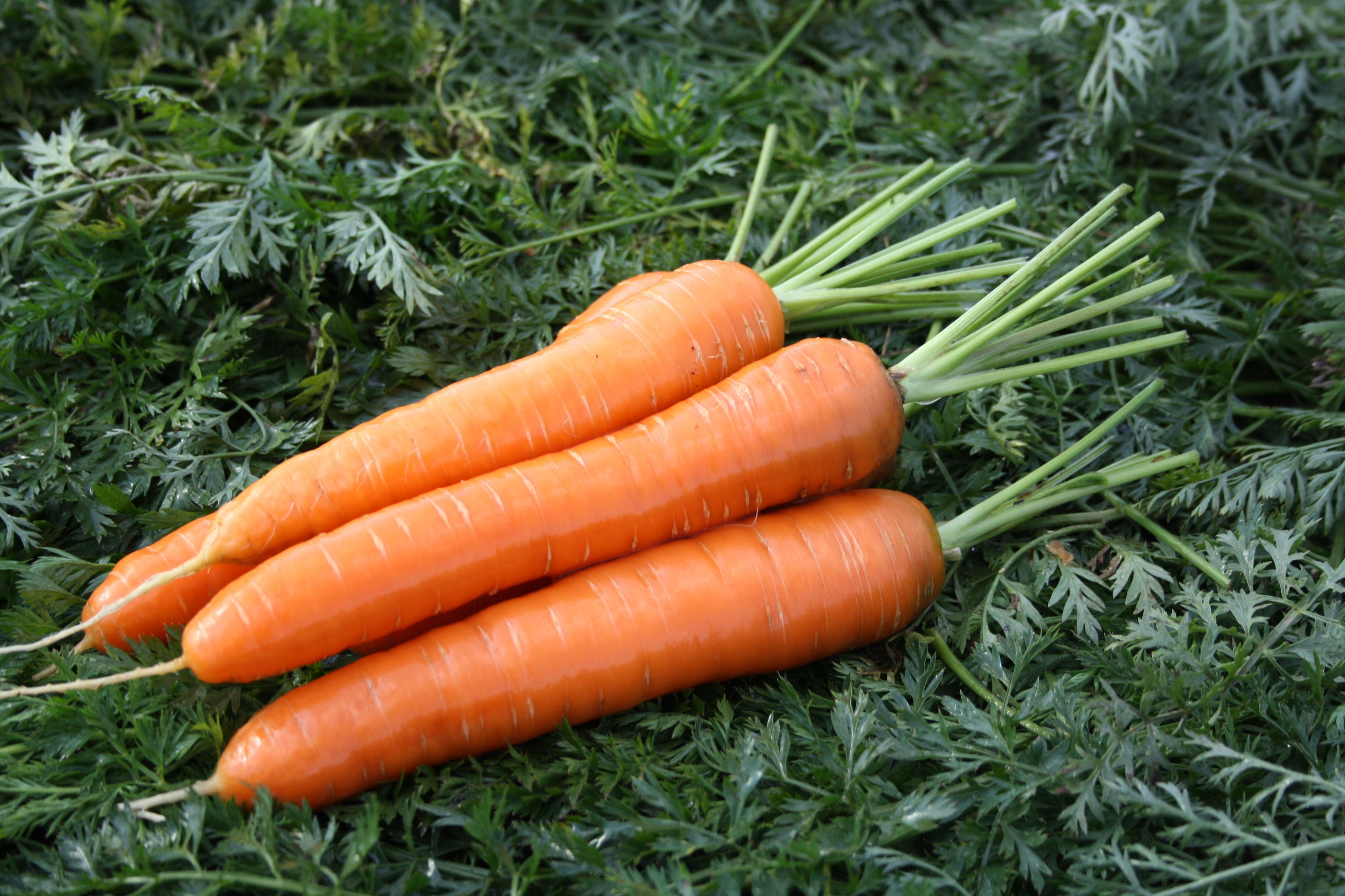 Морковь Кардинал (500 г)