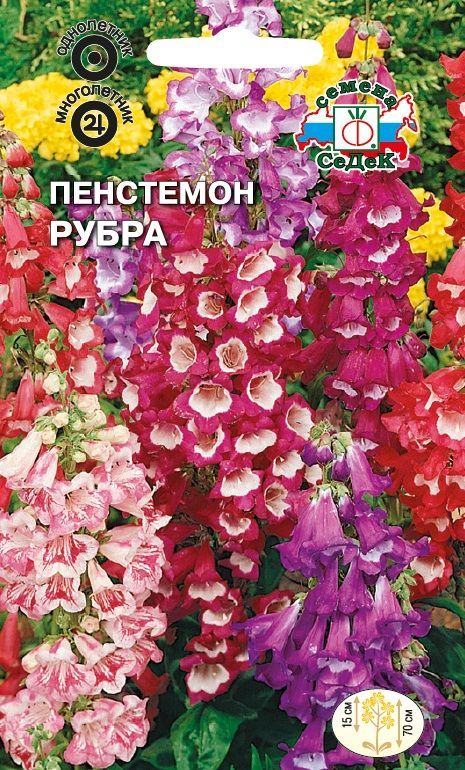 Цветок Пенстемон Рубра (смесь)