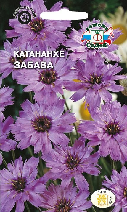 Цветок Катананхе Забава