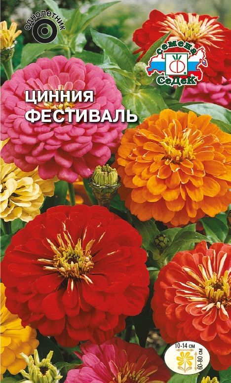 Цветок Цинния Фестиваль георгиновидная (смесь)