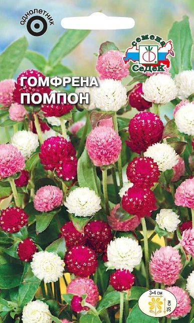 Цветок Гомфрена Помпон (смесь)