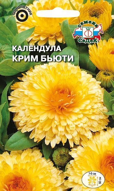 Цветок Календула Крим Бьюти