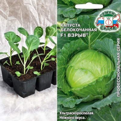 Капуста б/к Взрыв, кассета 6шт.