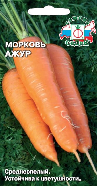 Картинка Морковь Ажур