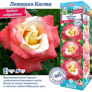 Роза Летиция Каста