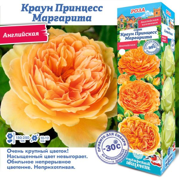 Роза Краун Принцесс Маргарита