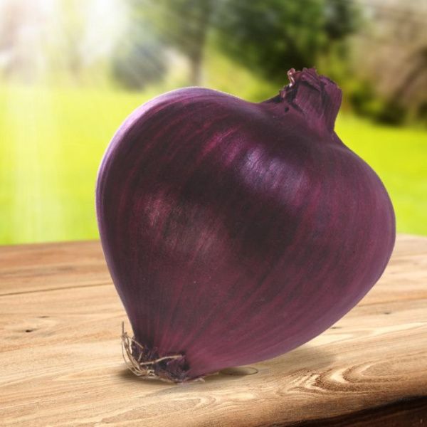 лук Ред Якут F1  1000 г