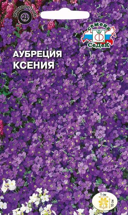 Цветок Аубреция Ксения