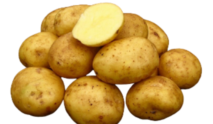 Картофель семенной Вега 2кг (1я репродукция)