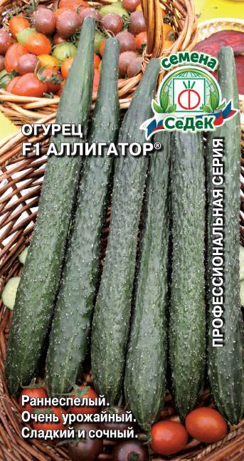 Огурец Аллигатор F1
