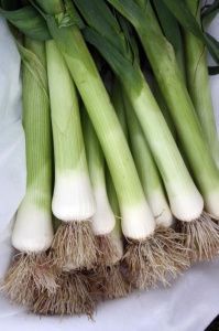 лук Осенний Гигант  (порей) 50 г