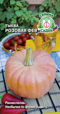 Тыква Розовая Фея