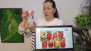 Live: Семена СеДеК. Урожайная грядка