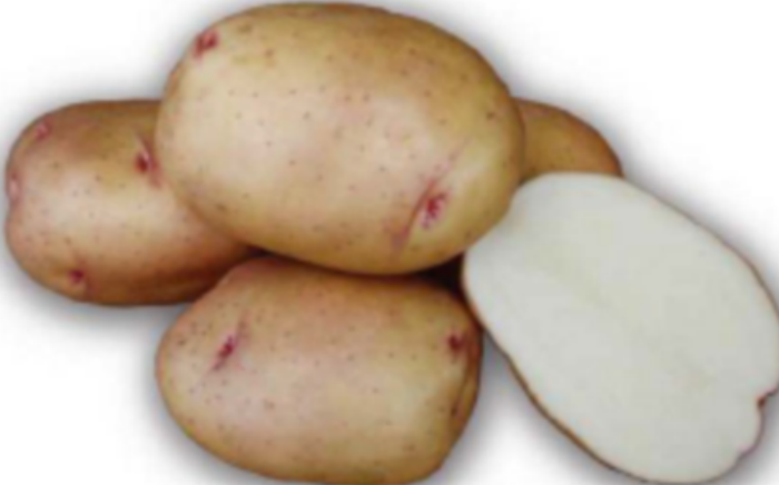 Семенной картофель Жуковский ранний 2кг (суперэлита)