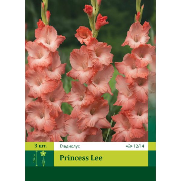 Гладиолус Принцесса Ли 3шт