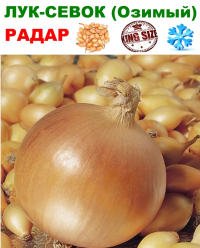 Лук-севок Радар 21-24 мм 450г