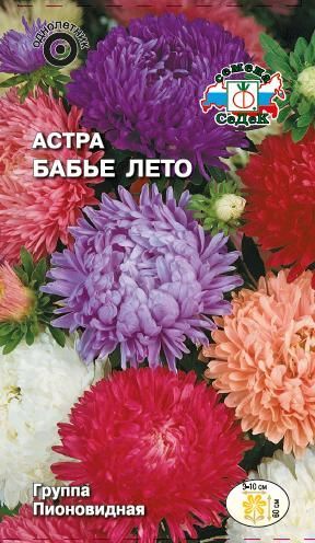 Цветок Астра Бабье лето (пионовидная смесь)