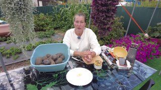 Куклы и Бегемоты в качестве летних закусок