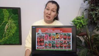 ПРЯМОЙ ЭФИР с Анной от 19.02