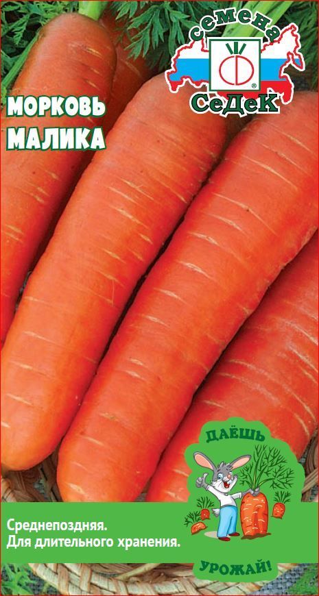 Морковь Малика (ДУ), 2г