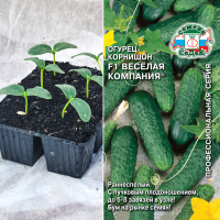 Огурец Веселая компания, кассета 6шт.