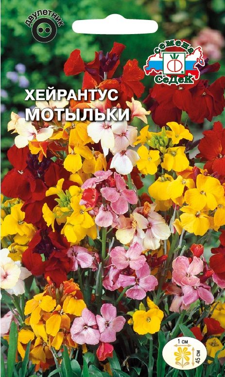 Цветок Хейрантус Мотыльки (смесь) /лакфиоль/