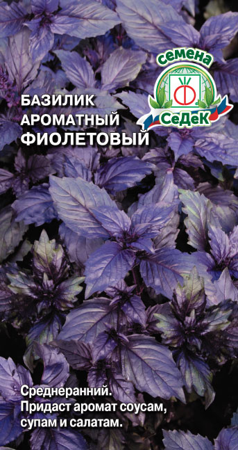 Базилик Фиолетовый