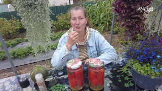 Томат Империя и до Нового года полежит