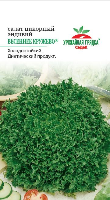 Салат Весеннее Кружево (эндивий) (УГ)