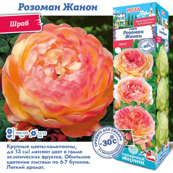 Роза Розоман Жанон