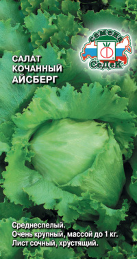 Салат Айсберг (айсберг)