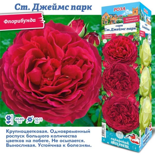 Роза Джеймс Парк