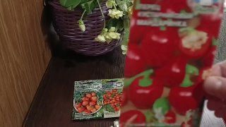 Зимний огород. Как всё начиналось...✨