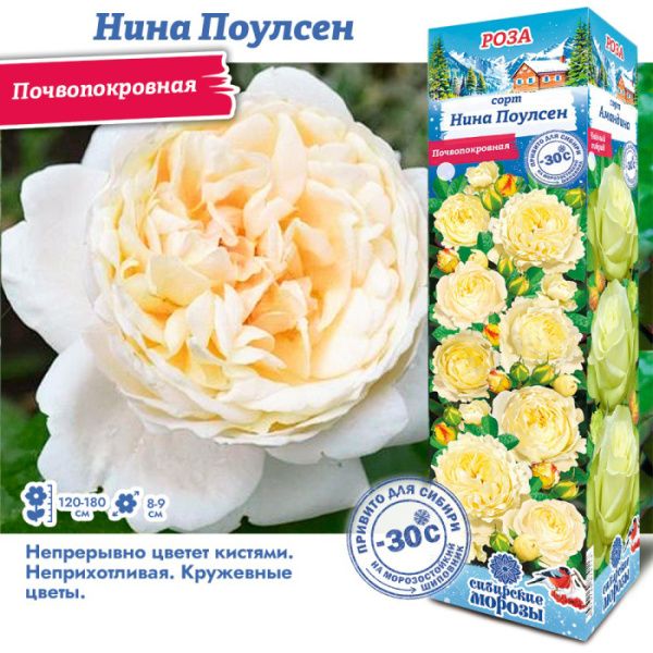 Роза Нина Поулсен