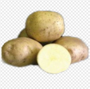 Семенной картофель Илона 2кг (суперэлита)