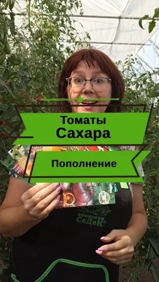 Посмотрите на новинки наших сахарных томатов