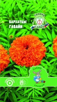 цветок Тагетес Гавайи (прямостоячий, темно-оранжевый) ДУ