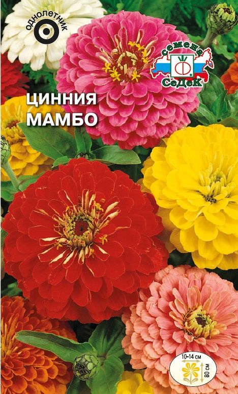 Цветок Цинния Мамбо (смесь)