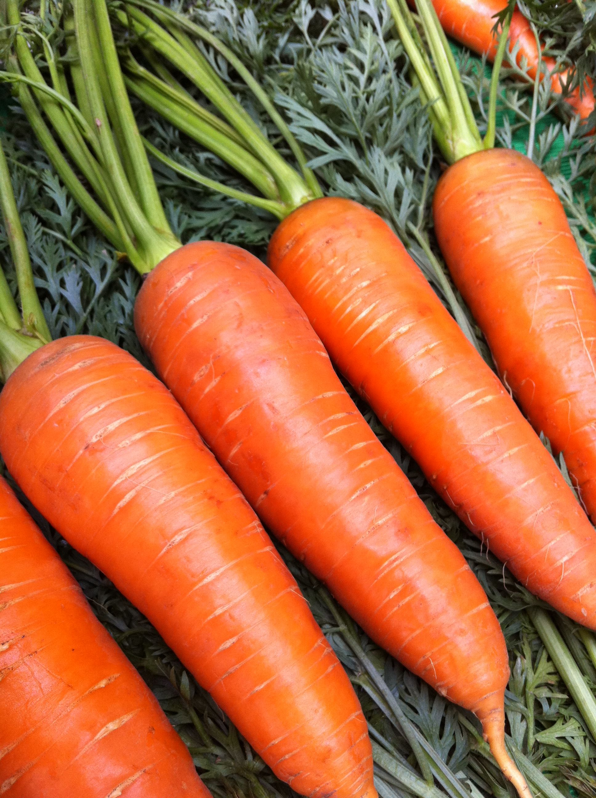 Морковь Ажур (500 г)